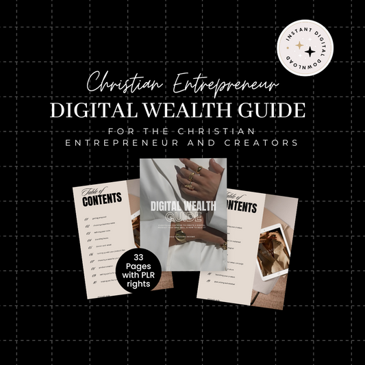 DIGITAL WEALTH GUIDE FOR THE CHRISTIAN ENTREPRENEUR - WITH PLR